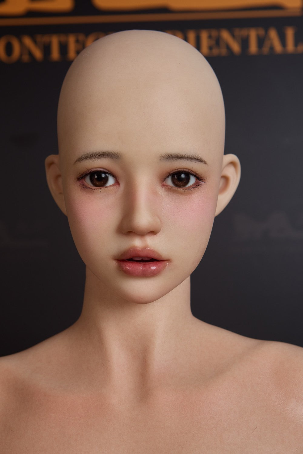 Evie sexpuppe (Irontech Doll 151cm C-cup T4 Silikon)