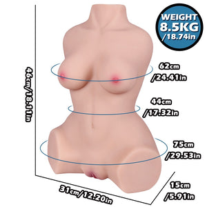 Torso kurvig (EL-Doll 46 cm C-cup Tpe) EXPRESS