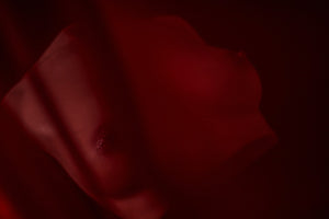Brüste (en) Torso sexpuppe (Climax Doll Pro B-cup Silikon)