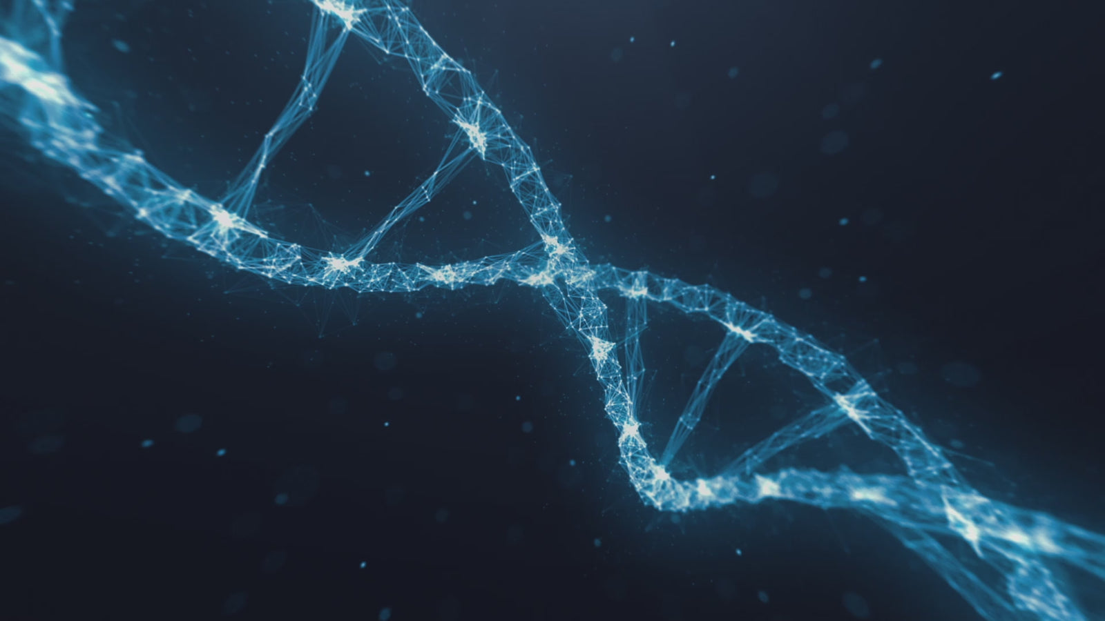 Lydia sexpuppe (XT Doll 150cm D-cup #XT-bym13 Silikon)