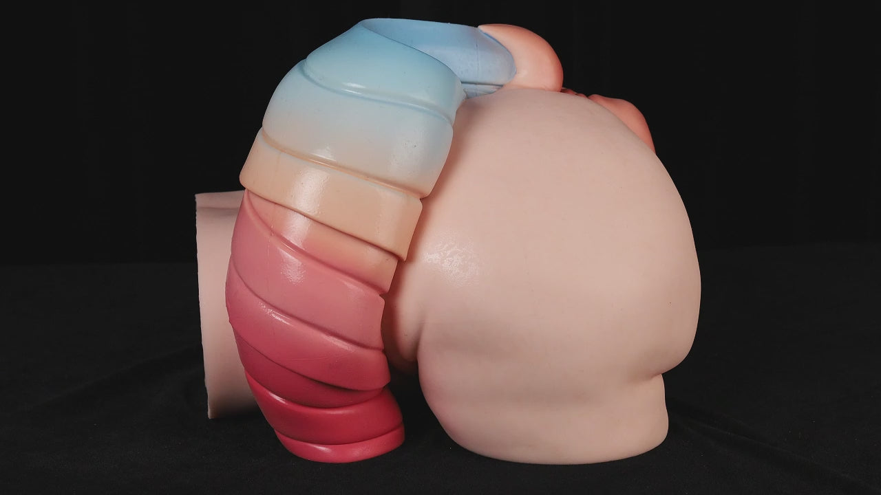 Ray Rumpa Sexdocka (Climax Doll Pro 34cm Silikon)