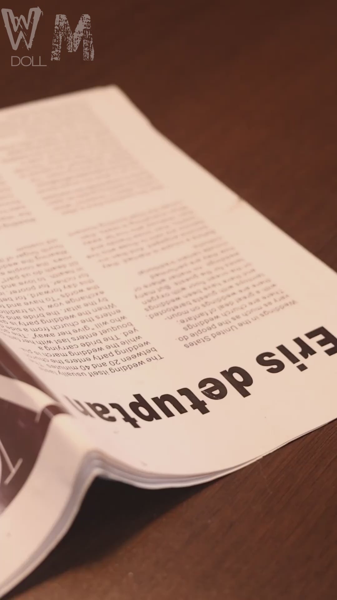 Malou Sex doll (WM-Doll 162cm E-cup #335 TPE)