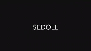 Jessie sexpuppe (SEDoll 161 cm f-cup #088 tpe)