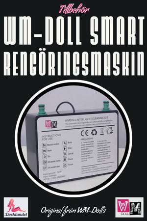 Intelligent cleaning machine (WM-Doll)